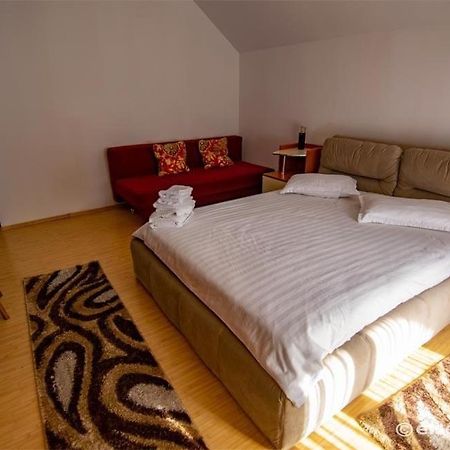 Casa Cu Flori Moisei Ξενοδοχείο Εξωτερικό φωτογραφία