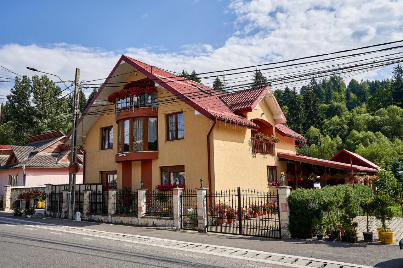 Casa Cu Flori Moisei Ξενοδοχείο Εξωτερικό φωτογραφία